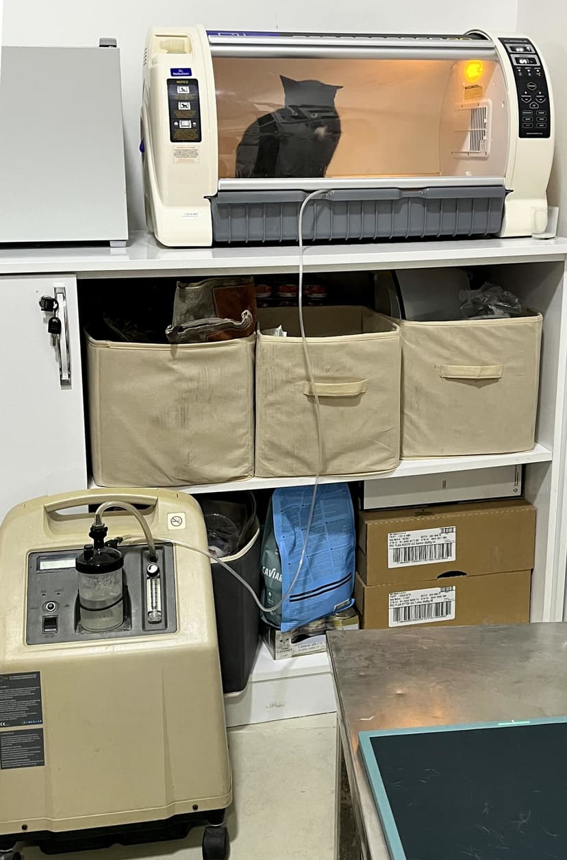 Veterinary Incubator and Oxygen Concentrator