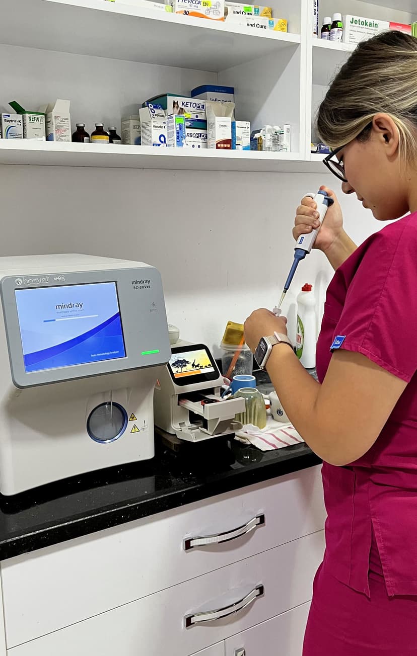 Hematology Analyzer