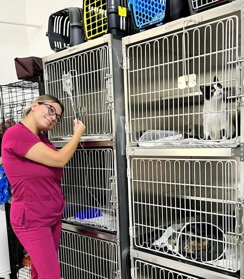 Hospitalization Kennel