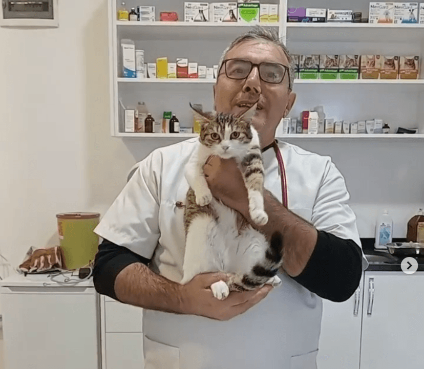 Patient 12
