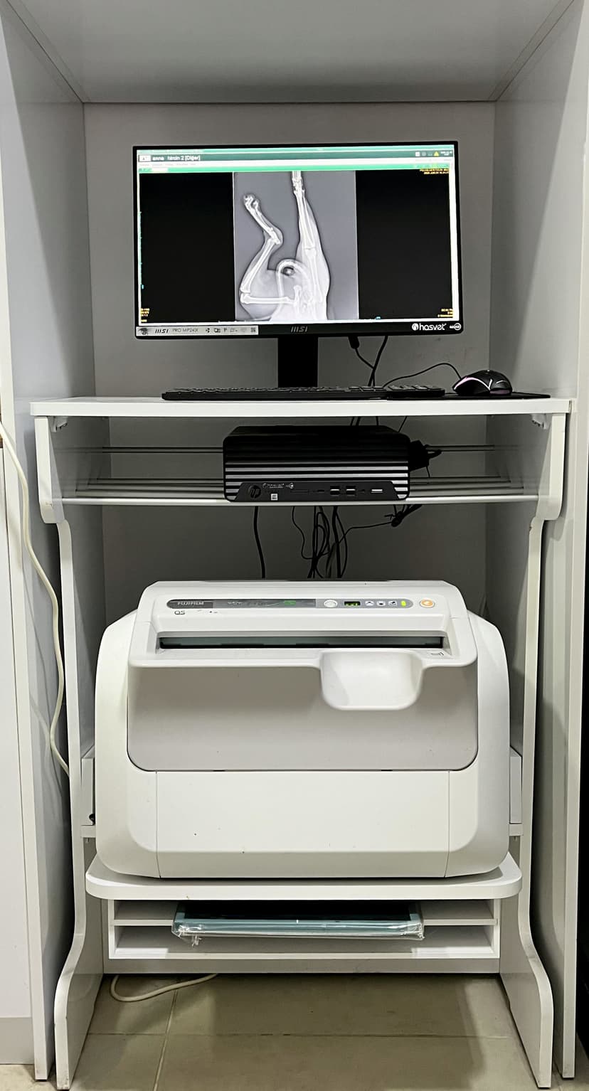 Digital X-ray System
