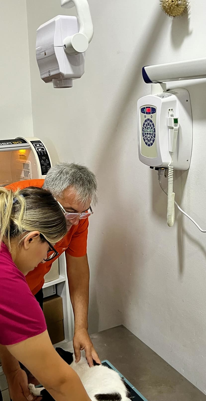 Digital X-ray Device