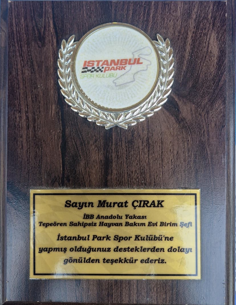 Memorable Moment 3