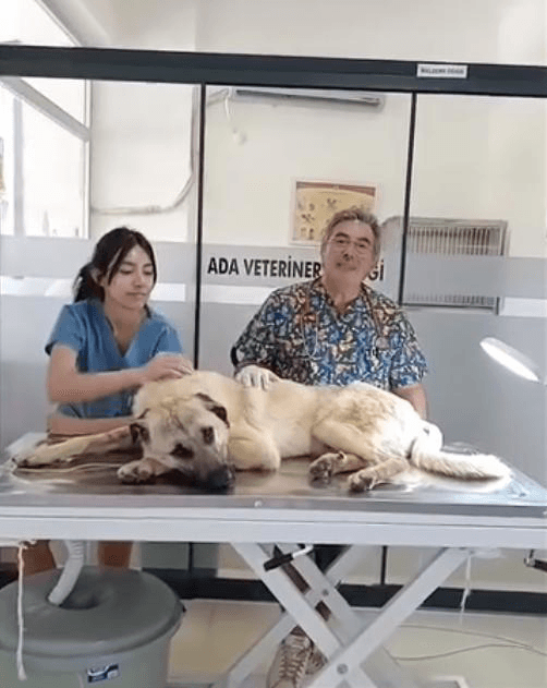 Patient 1